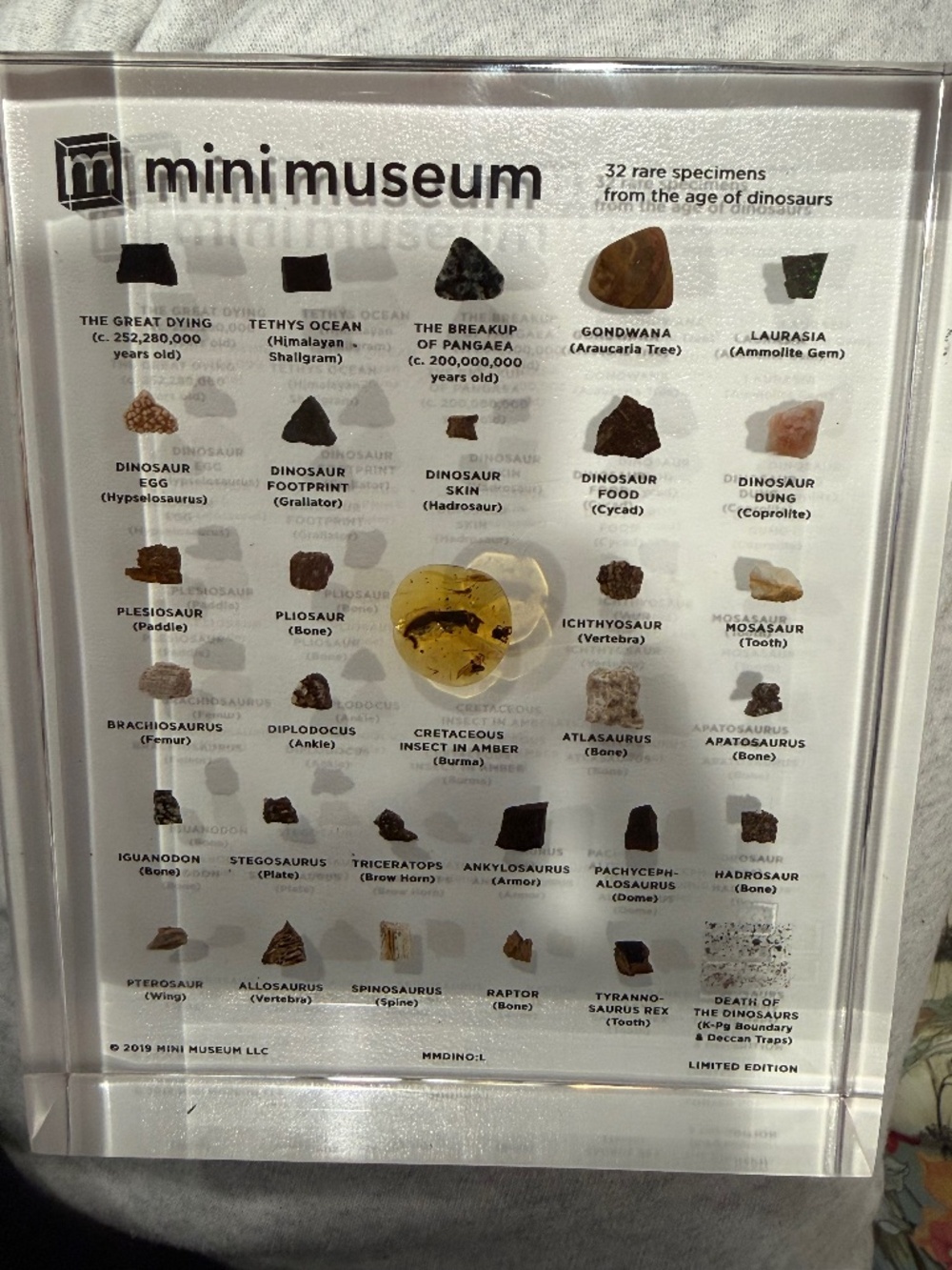 Mini Museum Age of Dinosaurs Large 32 Specimens Rare Limited Collectible